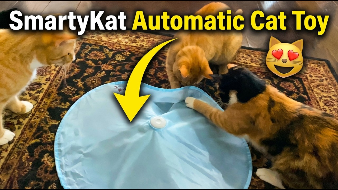 SmartyKat Hot Pursuit Cat Toy Tested 🟡 Slashpets