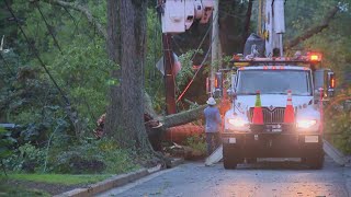 Fallen trees damage 10 homes in Northwest