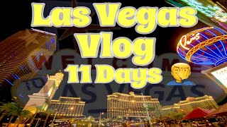 Las Vegas 2021 Vlog - Exploring Las Vegas, Sugar Babies & Strip Performer Fights - Part 3