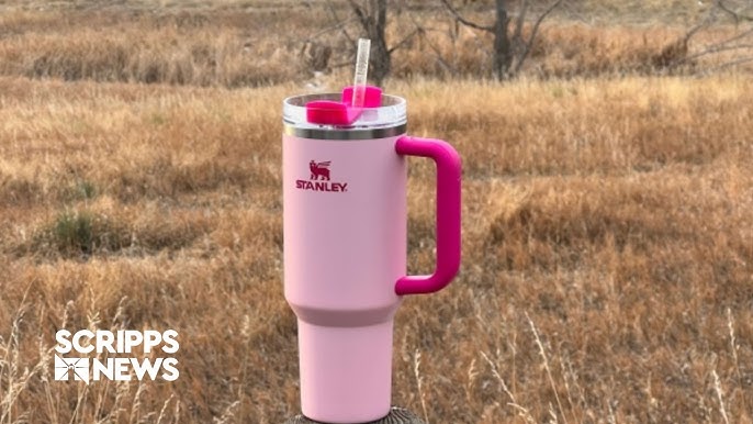 Starbucks pink Stanley cups: Shoppers line up at Targets at 3 a.m.