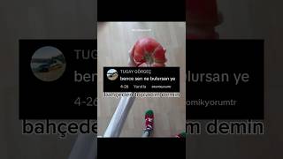 Bu Ne Cin Alinin Kolu Mu