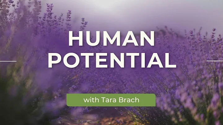 Wednesday Evening with Tara Brach and guest Rick H...