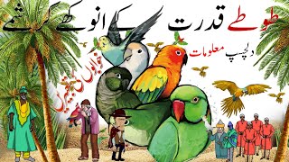 Interesting Facts About Parrots | Facts about Parrots | | Hayat ul Haiwan |