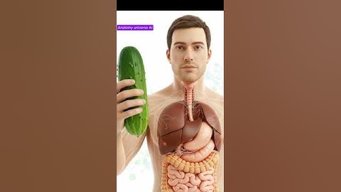 what happens when you eat cucumber? 🥒/3D human body Animation .