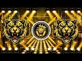 Goli Bari Ho Jai Dj Remix Song Dj Gana New Bhojpuri Dj Song 2026 Dj Remix Gana New DJ Song RDX 