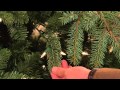 Balsam Hill 5' Northland Pine Christmas Tree w/ Easy Plug with Dan Hughes
