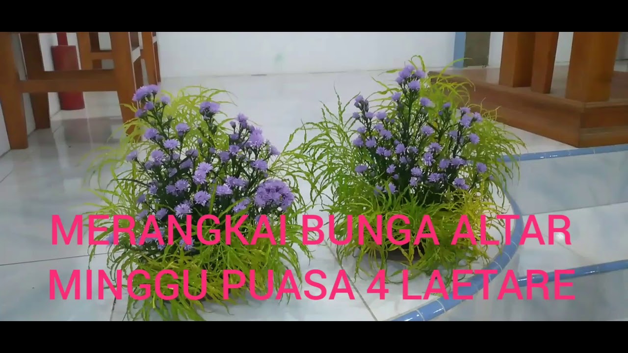MERANGKAI BUNGA ALTAR MINGGU PUASA 4 LAETARE