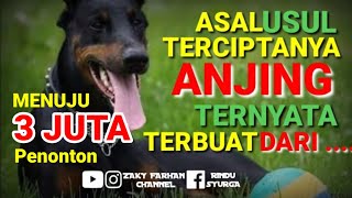 BANYAK YANG BELUM TAHU‼️Ternyata Asal Mula Anjing Terbuat Dari......