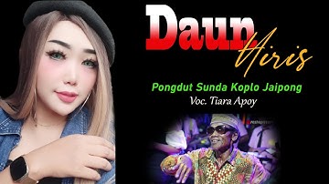 DAUN HIRIS versi PONGDUT SUNDA KOPLO BAJIDOR Full Blekuk Kendang Jaipong