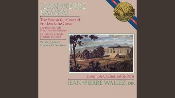 Concerto for Flute, Strings and Basso continuo in E Minor, L2.4: I. Allegro con brio