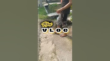 MINI VLOG "mengunjungi twin sebelum pulang kampung"