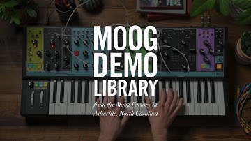 Matriarch | Patching Velocity & Aftertouch