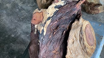 GL gốc cẩm chỉ krôngpa đặc tịt ôm đá tự nhiên 19kg đục đẽo các kiểu bác nào thiện chí lh 0338918991