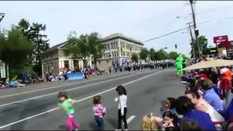 frog in parade