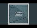 Filaments