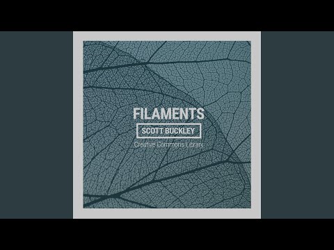 Watch Filaments on YouTube