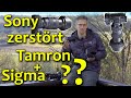 Großer Test 😱: Sigma 24-70 f2.8 vs Sony 24-70 GM vs Tamron 28-75 | Deutsch