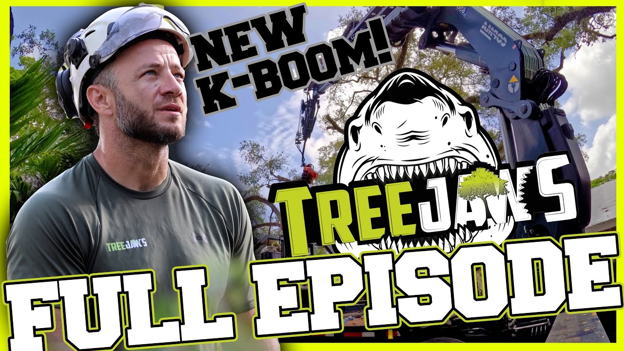 How Grapple Saw Trucks Change Tree Work Forever - YouTube