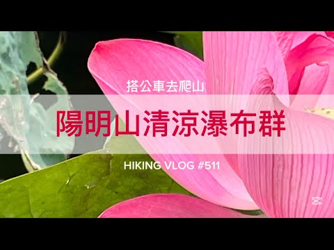 台北士林｜搭公車去爬山｜夏日清涼路線｜陽明山清涼瀑布群外加秘境(新景點:草山觀瀑吊橋)