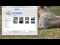 HOW TO CHANGE WALLPAPER ON MAC