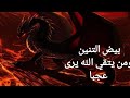 الزوهري و بيض التنين حارق الشياطين