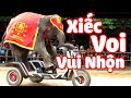 Xiếc Voi Vui Nhộn Cực Hay 🎶 Nhạc Thiếu Nhi Remix Sôi Động Cho Bé 🎵 Chú Voi Con, Con Heo Đất Remix