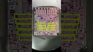 📊 Un LM3914 Bajo El Microscopio