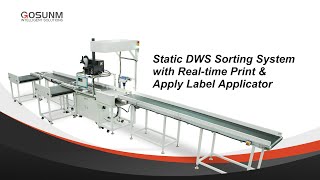 Static DWS sorting with real-time printing line