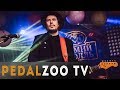 Артем Крицин - гитарист Мумий Тролль | Pedalzoo TV