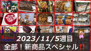 新商品40連チャン‼️ケーキおかしデリカさらさ肉冷凍食品パン‼️【2023/11/5週目❤️コストコ最新情報】こんなに新商品ばっかり見たことない！コストコ店内情報