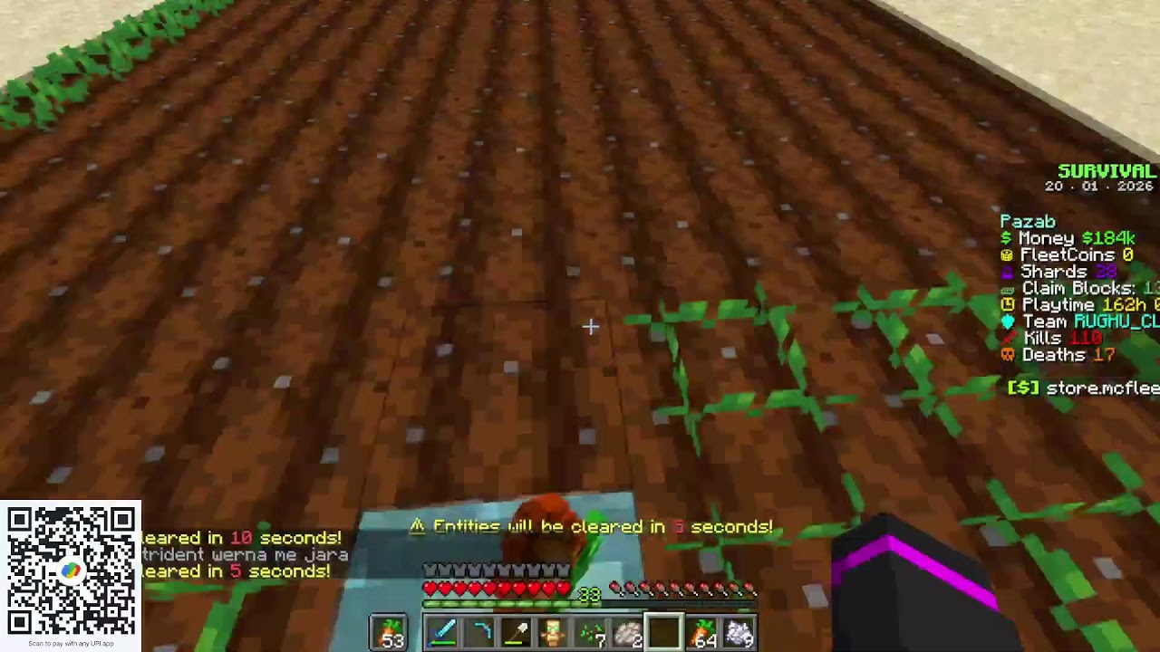 Minecraft live Pazab MCFLEET