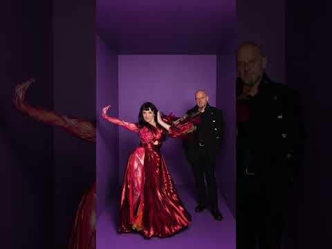 Shkodra Elektronike really made kara-folk-e happen 🎶 #Albania #Eurovision2025 #Eurovision 🇦🇱