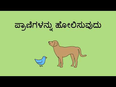 ಪ್ರಾಣಿಗಳನ್ನು ಹೋಲಿಸುವುದು - Comparing Animals (Kannada)