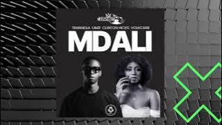 MDALI - CEBOVALZ & TEMANDLA (FEAT. UMZI, CLINTON HICKS & VOLKCANE)