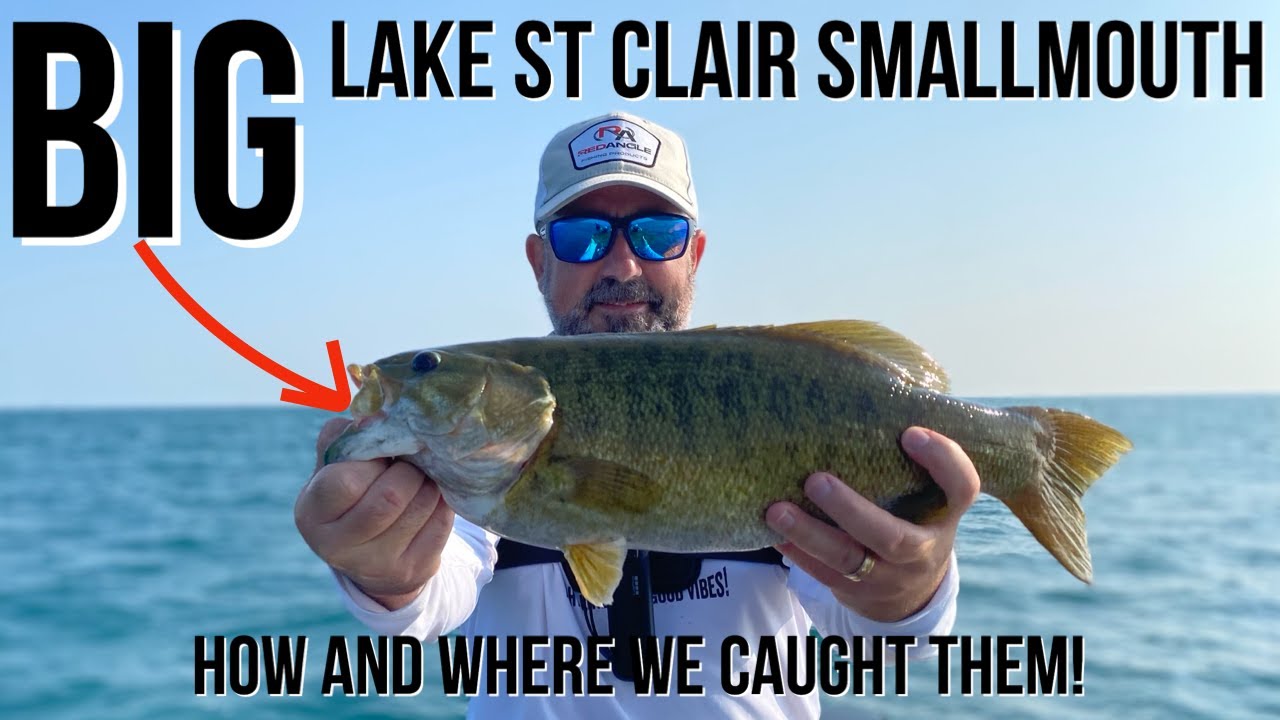 Lake St Clair Smallmouth Bass Fishing Report For August