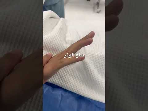 فيديو: تحليل نشاط الشركة