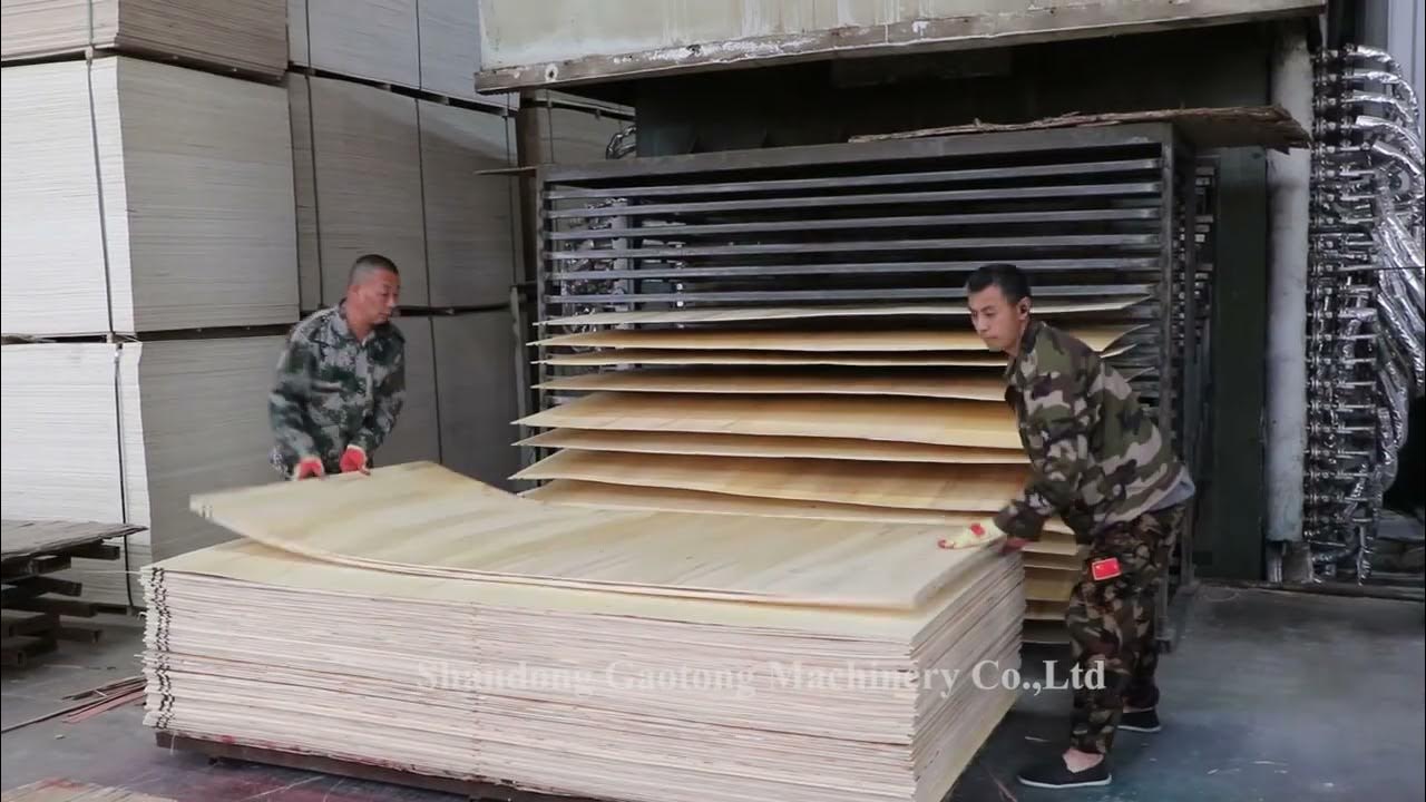 How Plywood Is Made in Factories? Plywood Production line Plywood 