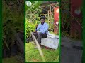 Pongal Invitation from Bumitraa Bio Green World Contact: 9566061017
