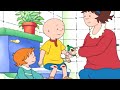 Caillou Paziente | Caillou Italiano - WildBrain