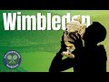 Wimbledon 2022 Draw Breakdown + Wimbledon Power Rankings