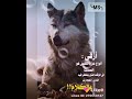 أرقى أنواع عزه النفس هو الصمت الذي ينتظر فيه الناس إنفجارك بالكلام
