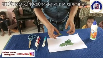 Pattiyon se aakritiyan banana, School readiness programme, week 6