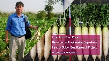 Sejong University Promotional Video Clip in English