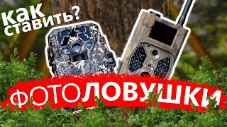 Как ставить фотоловушки?