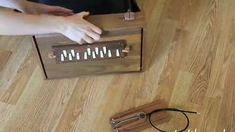 M3 Shruti Box & Bowring Foot Pedal