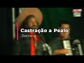 Castração a Pealo (Joserley Portela)