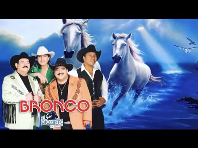 Bronco - Llorando Bajo Las Lluvia - Quien Pierde Mas  - Adios Amor  - Sin Amor mix