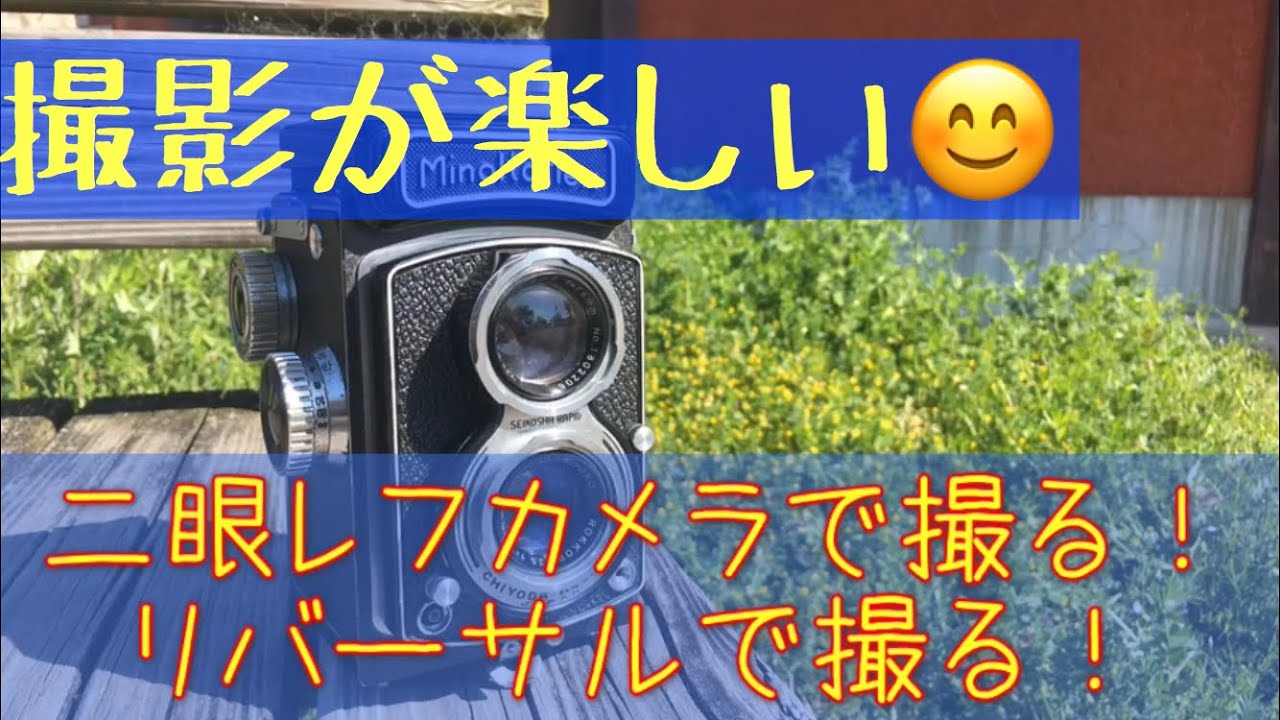 二眼レフカメラにリバーサルフイルムで撮影しました。 #ミノルタ