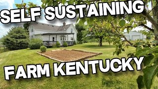 14+ acres, barn, pond, creek, Sustainable Farm For Sale in Kentucky