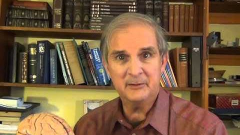 How the Brain Works, Introduction, Video 1 of 20